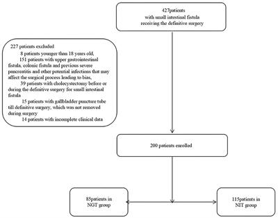 Compared With a Nasointestinal Route, Pre-operative Enteral Nutrition via a Nasogastric Tube Reduced the Incidence of Acalculous Acute Cholecystitis After Definitive Surgery for Small Intestinal Fistula